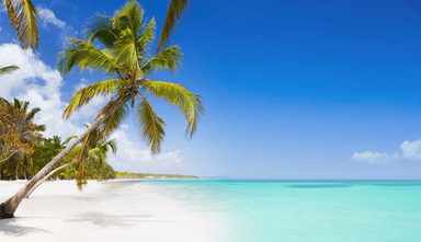 Punta Cana Vuelos + Todo incluido + Fiesta White Sunset 9 días / 7 noches - Flowo