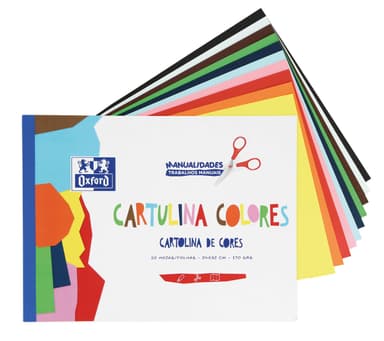 Oxford Bloc de Cartulinas de Colores, 10 hojas, 170g - Amazon