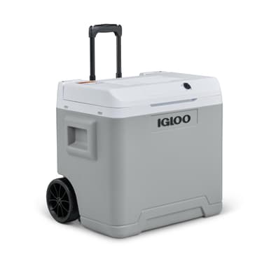 IGLOO IE42 Nevera Eléctrica, 12V y 230V, 42L - Amazon
