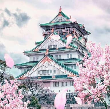 ¡JAPÓN! VUELOS de IDA y VUELTA + Equipaje Facturado Gratis por solo 541€ (nov - dic) Salidas desde MADRID - Google Flights
