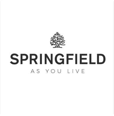 Recopilación camisetas molonas Springfield TODAS a 5,99€! Recogida en tienda gratis - Springfield