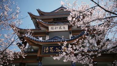 Vol A/R Paris (CDG) - Séoul ICN (Corée du Sud) du 28 octobre au 10 novembre (Escale à Nanjing, bagage cabine + 2 en soute) - Trip
