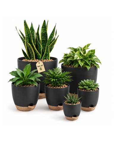 Lot de 6 Pots de Plantes d'Intérieur Bamworld - Drainage, Auto-irrigants (Vendeur Tiers) - Amazon