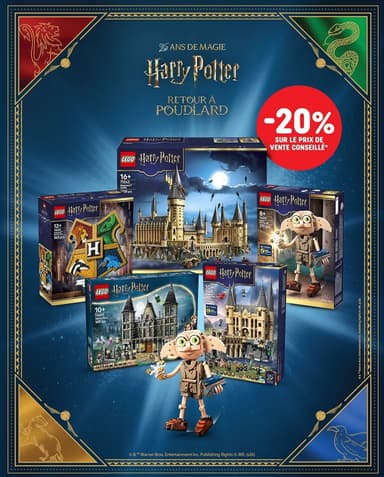 -20% Sur une sélection de sets Lego Harry Potter - Smyths Toys
