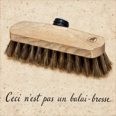 Lave-pont de recurrage - poil en fibres naturelles - Leroy Merlin