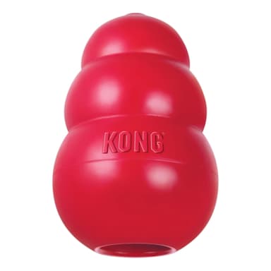 Sélection de jouets pour animaux Kongà -30% - exemple : jouet Kong taille M - Maxizoo