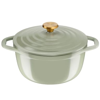 Cocotte en fonte d'aluminium Tefal - 24cm - Amazon