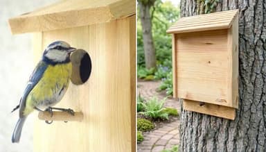 [Habitants] Nichoirs gratuits pour chauves-souris et mésanges - Eppes (02)