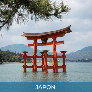 Vol avec escale Aller/Retour Genève (GVA)  Tokyo (TYO) Japon, 13 Dates, du 29 Octobre au 23 Décembre 2026 (2 Bagages en Soute) - Google Flights