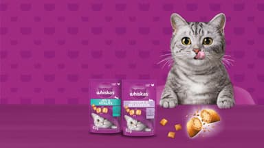 Sachet fraîcheur Whiskas pour chaton au Poulet en Gelée (échantillon gratuit) - Whiskas