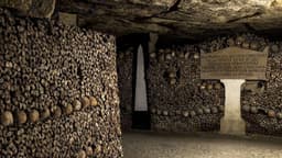 [Sur Réservation] Visites Guidées gratuites des Catacombes de Paris - Paris (75)