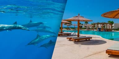 Séjour 8J/7N pour 2 à Hurghada - Aqua Park Resort 4* - Demi-pension + Croisière dauphins + Snorkeling - Vol de Paris - Décembre (439€/p) - Veepee