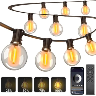 Guirlande Lumineuse LED Extérieure 30 m avec App et Télécommande, G40, IP44 Arkochic - (via remise au panier - Vendeur tiers) - Amazon