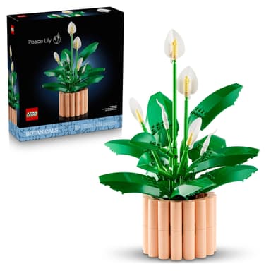 LEGO Botanicals 11504 - Les Fleurs de Lune - Smyths Toys