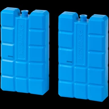 Lot de 2 pains de glace 400ml - Action