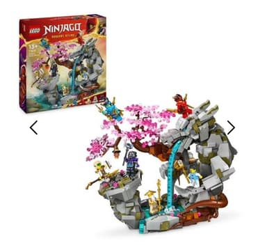 Lego Ninjago 71819 Le Sanctuaire de la Roche du Dragon - King Jouet