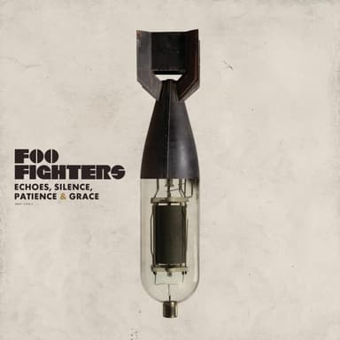 Double vinyle - Foo Fighters : Echoes, Silence, Patience & Grace - Amazon