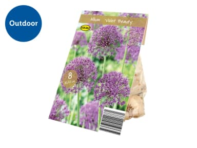 Premium Quality Products flowering bulbs - Tulip, Allium & Crocus (8-30 per pack) - Lidl