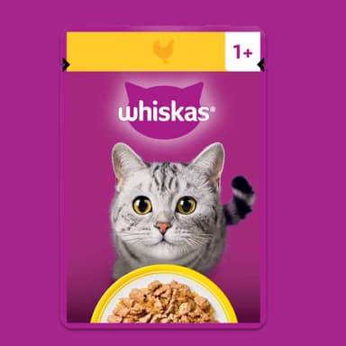 Free pouch of WHISKAS Chicken in Jelly, for cats 12 months old to 1+ years old • WHISKAS 1+ Chicken in Jelly, for cats 1+ years old - Whiskas