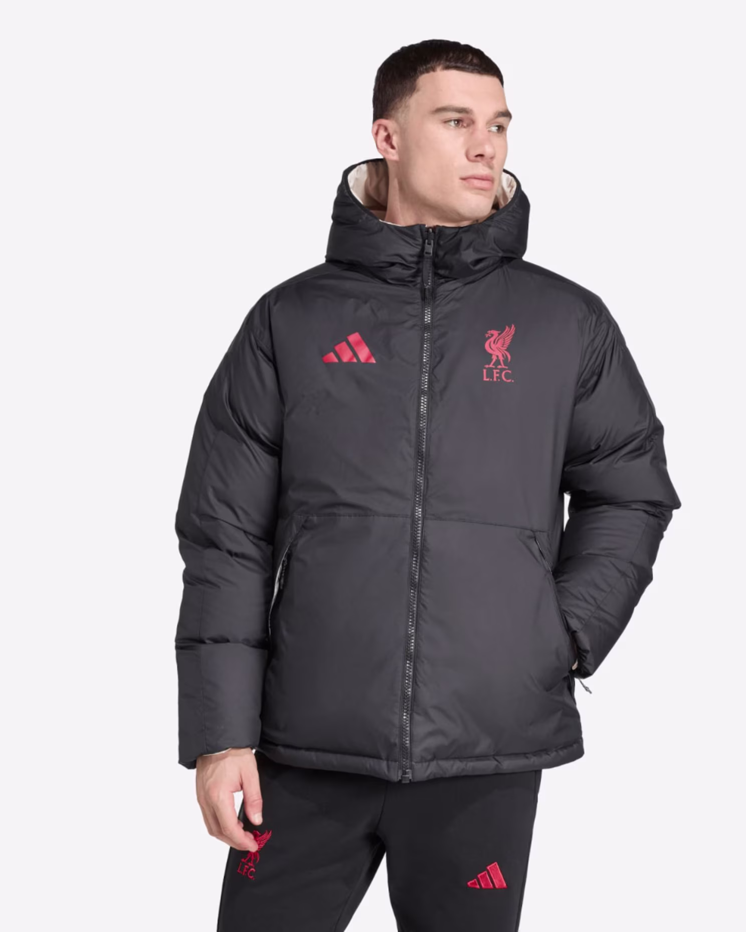 LFC adidas Adults 25/26 Reversible Down Jacket Black - Size 2XL / 3XL - Liverpool FC