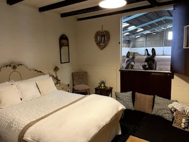 1 Night Farm Stay in a stable with 2 miniature donkeys near Newark, Nottinghamshire 21-22 Sept, up to 3 guests - Holiday Pirates