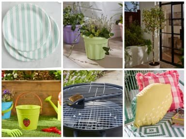 Further Reduction EG 8 Pack Striped Paper Plates, Cups 50p/ Vista Plant Pot 62p/ 50 LED String Lights 75p/ BBQ Cleaning Brush £1.25+Free C&C - Dunelm