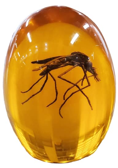 VEOJEIN Jurassic Park Mosquito in Amber Paperweight - Amazon