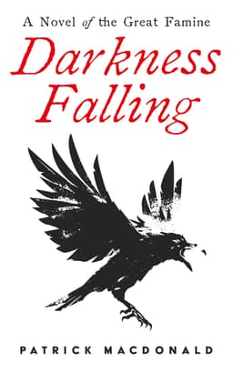 Darkness Falling: A novel of the Great Famine - Kindle Edition