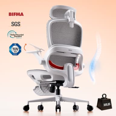 SIHOO B100JT Office Chair with Footrest, Adaptive Lumbar Support & Wide Headrest, Grey - Joybuy