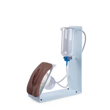 3B Scientific P93B‑FD Female Catheterization Simulator BASIC (Dark Skin) - Amazon