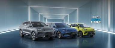 BYD verlängert die Leasingangebote und Barkaufprämien bis 30.9. z.B. BYD Dolphin Surf mit BYD-Prämie und max. Förderung ab 13.490 € - BYD