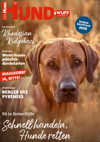 Der Hund Abo (8 Ausgaben) für 39,40 € mit 30 € BestChoice- oder 35 € Zalando-Gutschein - Hobby + Freizeit