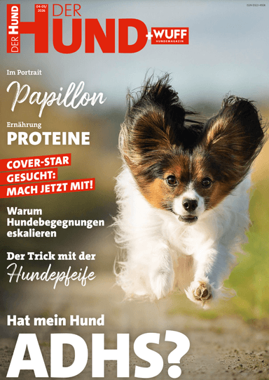 Der Hund Abo (8 Ausgaben) für 39,40 € mit 30 € BestChoice- oder 35 € Zalando-Gutschein - Hobby + Freizeit