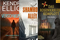 (Amazon Kindle) Verschwunden | SHAMROCK ALLEY | Das Rosenkreuzer Komplott | abgeschlossener Fall | Thriller | eBook | 4,3* 750