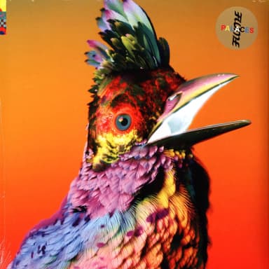 Flume - Palaces - Vinyl 2LP - Jpc