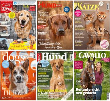 6 Tiermagazin Abos, z. B. Geliebte Katze für 27 € | Partner Hund für 28,80 € // dogs, Cavallo, Der Hund, Ein Herz für Tiere - Abo24