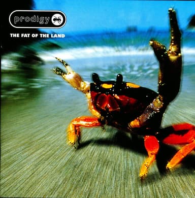 Amazon: Prodigy - The Fat Of The Land ( Vinyl) - Amazon