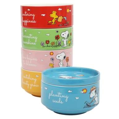 Amazon: Peanuts Snoopy - Juego de 6 cuencos apilables de 5.5 pulgadas con plato tapa - Amazon