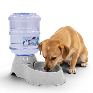 Amazon: bebedero para perro - Amazon