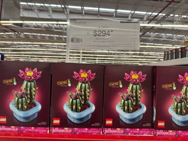 Sams: LEGO Botanicals Cactus en Flor - Sam's Club