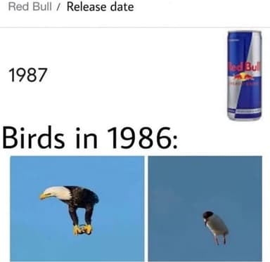 Bodega Aurrera Express: RED BULL TAMAÑO REGULAR SUGAR FREE EN $11 - Bodega Aurrera