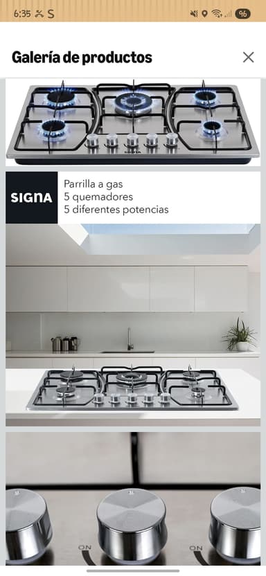 AMAZON: SELECTSHOP Parrilla De Gas 5 Quemadores De Acero Inoxidable - Amazon