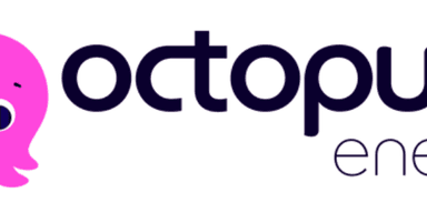 Plan Octopus Gas RL1 disponible desde 0,080€/kWh - Octopusenergy