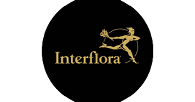 Plantas a domicilio con precio inferior a 30€ - Interflora