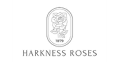Enjoy reductions up to 75% on a selection of shrub roses - Roses