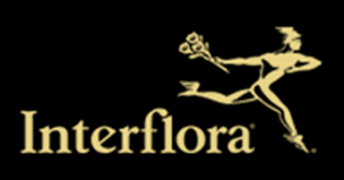 Plant and hamper selections available from £27 with next-day delivery at no extra cost - Interflora