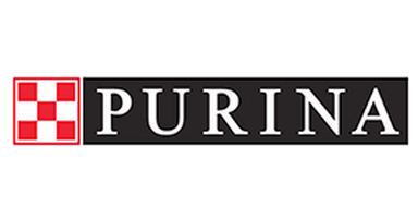 Shop wet food from £2 - Purina