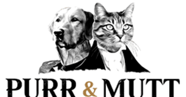 Design a bespoke pet art phone case starting from £30 for added individuality - Purrandmutt