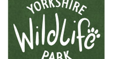 Book your camping adventure online for close wildlife encounters - Yorkshirewildlifepark